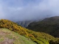Ginsterblüte und wolkenverhangene Berge beim Parkplatz Rabaçal